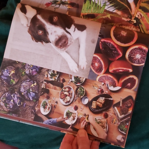 Plum vegan dishes Cookbook Makino Howell Plum Bistro Seattle hardcover - Picture 5 of 7